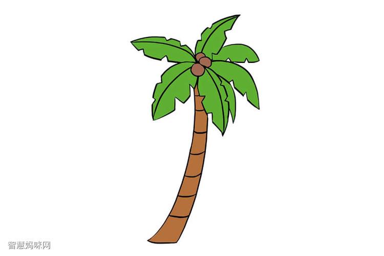 简笔画棕榈树图片