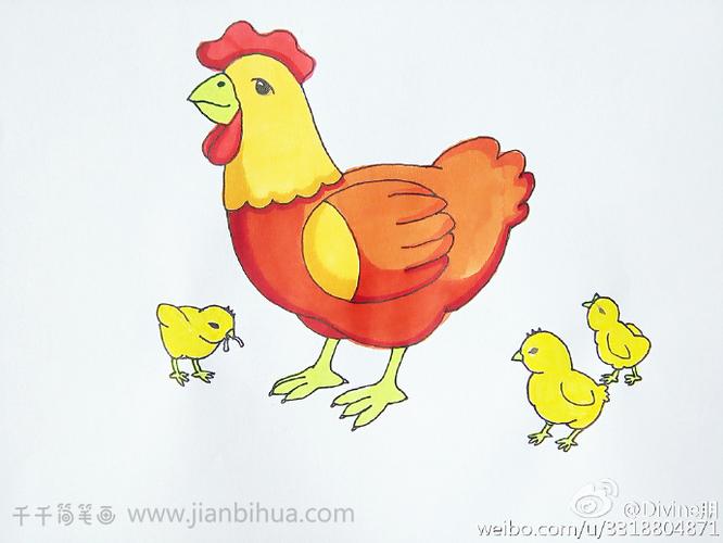 鸡简笔画鸡群觅食图简笔画步骤鸡群觅食图简笔画教程母鸡下蛋四格简笔