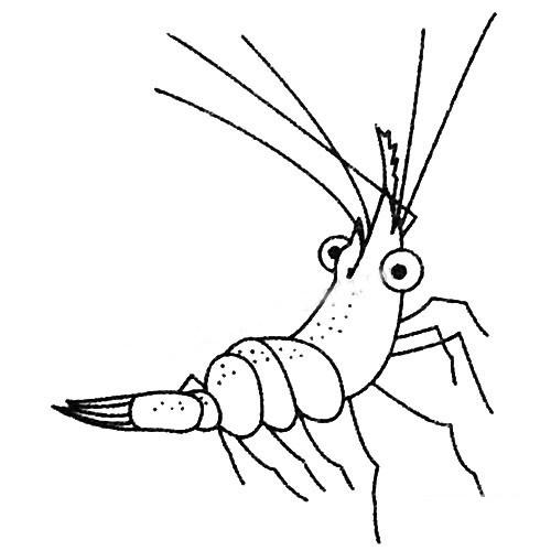 卡通简笔画海底世界大虾的画法关于虾的动物简笔画儿童简笔画虾的简笔