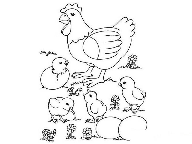 鸡群觅食图简笔画步骤鸡群觅食图简笔画教程母鸡和小鸡简笔画母鸡和母