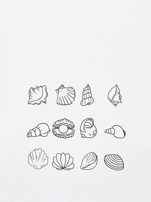 海底珍珠贝壳简笔画图片