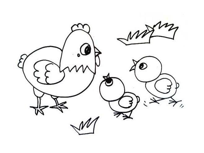母鸡护着小鸡的简笔画母鸡带着两只小鸡简笔画的画法鸡妈妈卡通简笔画